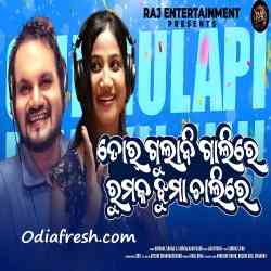 Tor Gulabi Galire Rumku Jhuma Chalire